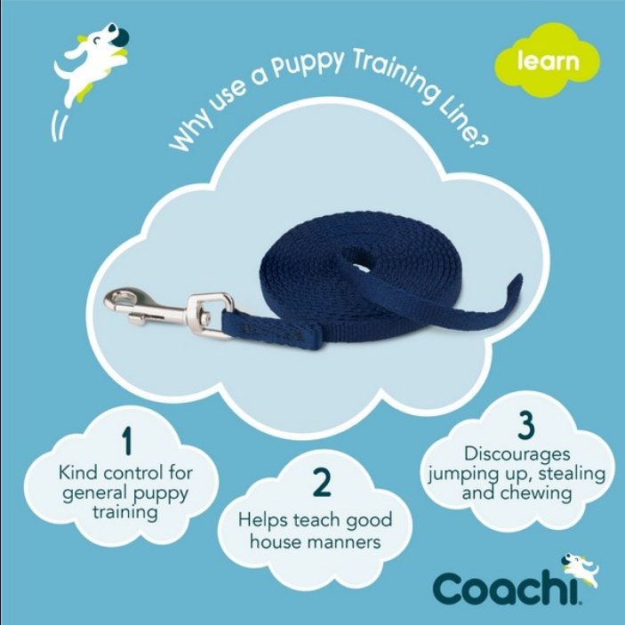 CoA Coachi Puppy Training Line Navy 2.5m