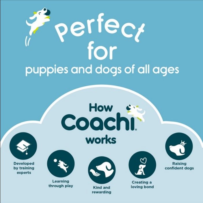CoA Coachi Puppy Training Line Navy 2.5m