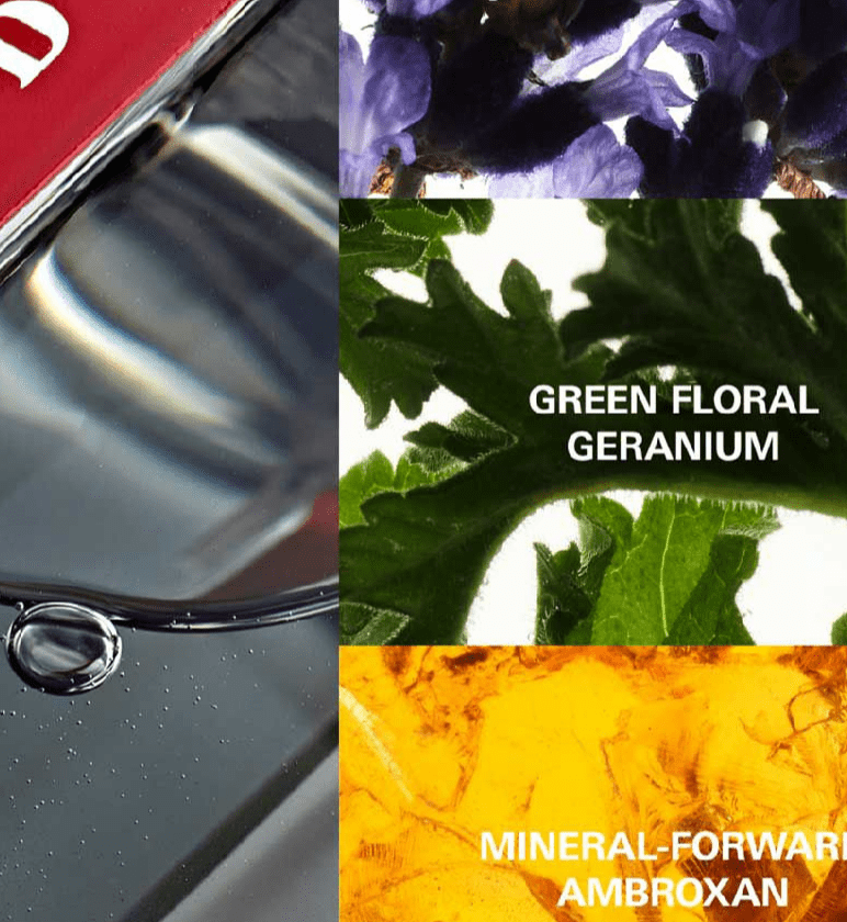 Prada Luna Rosse Carbon EDT