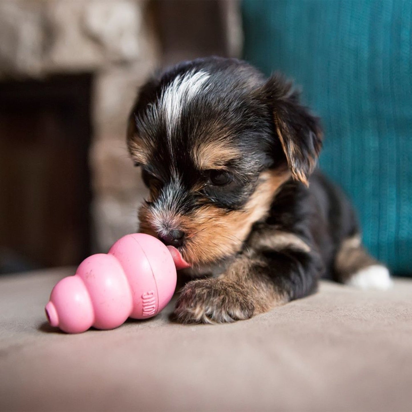 KONG Classic Puppy Toy