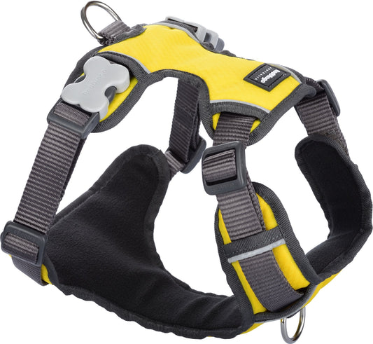 Red Dingo Padded Harness, Yellow